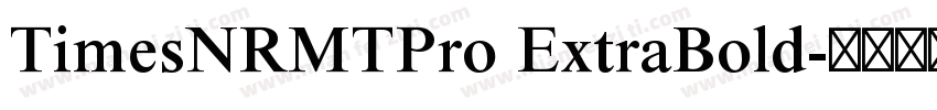 TimesNRMTPro ExtraBold字体转换